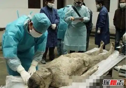 貂蝉是中国古代四大美女之一,要说貂蝉到底有多美,大家看看貂蝉古尸