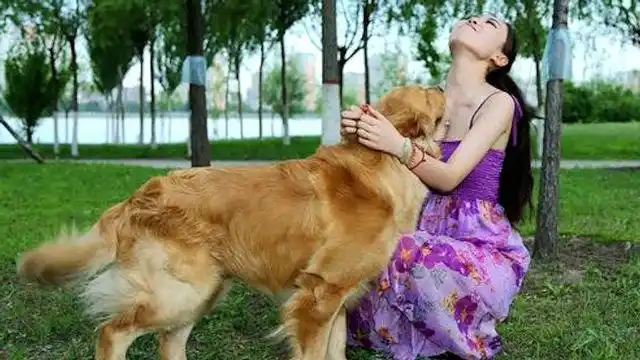 为何单身女性喜欢养大型公狗?其中两大原因,满足这一点很重要