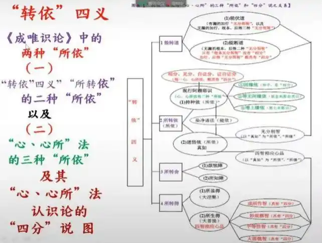 讲座回顾|法相唯识学的"转依"及其"心,心所"认识论的"四分"说_相缚_赵