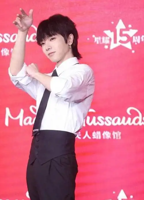 华晨宇,一个在2013年参加快乐男声的小伙子,因为他声音尖锐而有力