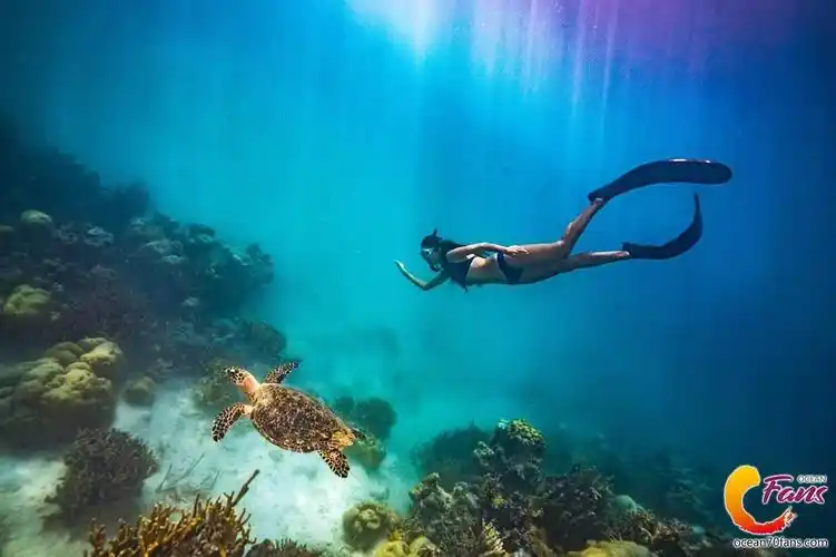 自由潜水美照 | superhome