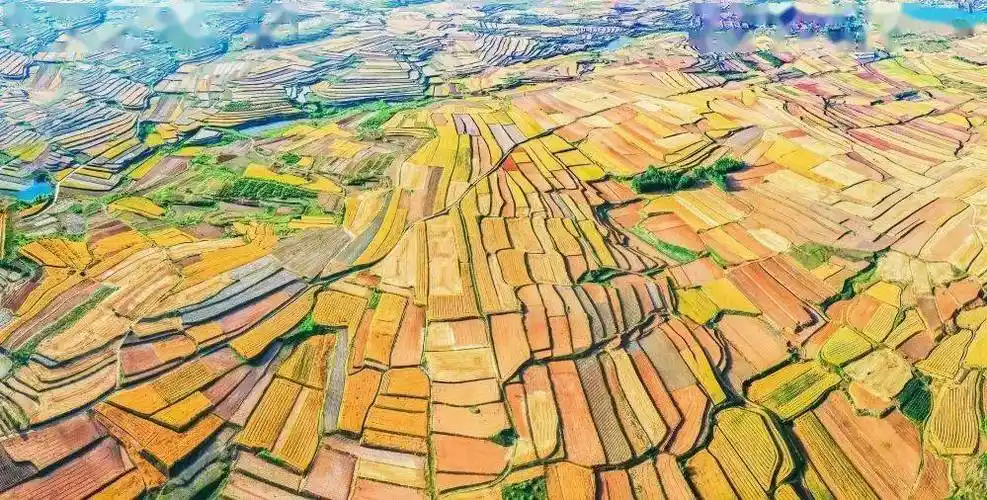 "乡村振兴·美丽莱阳"摄影(视频)大赛获奖摄影作品展示_来源_文化_错