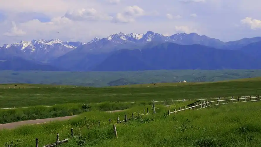 大美新疆,美在天山.(下)