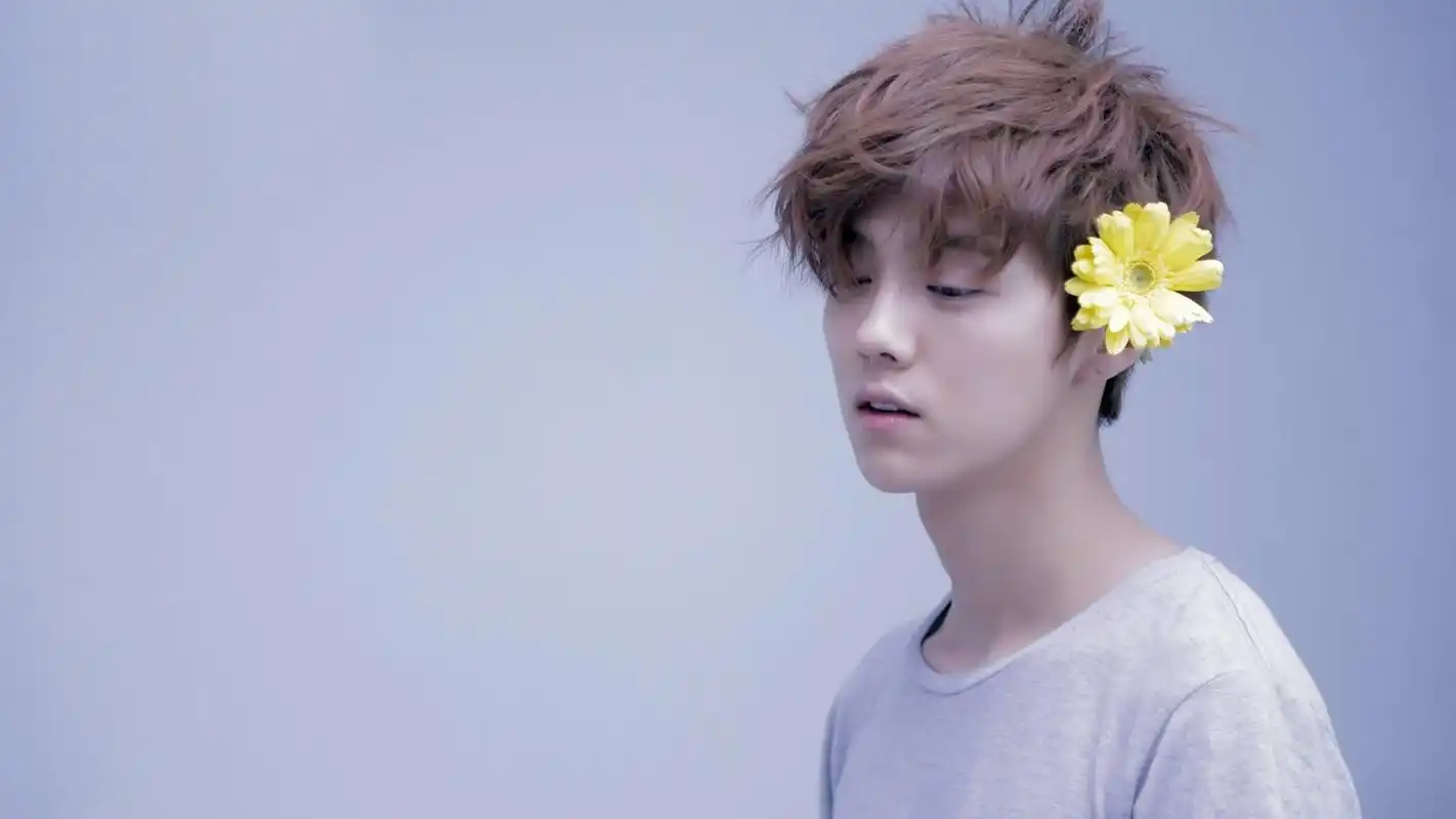 鹿晗 小清新 小黄花 明星风尚壁纸