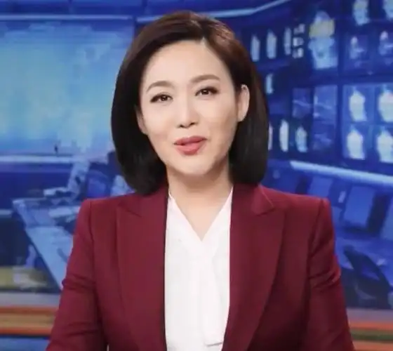 郑丽:结束5天随访报道任务,一下飞机就直奔《新闻联播》主播台_腾讯