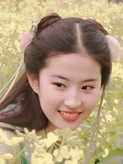 赵灵儿赵盼儿都是我的神