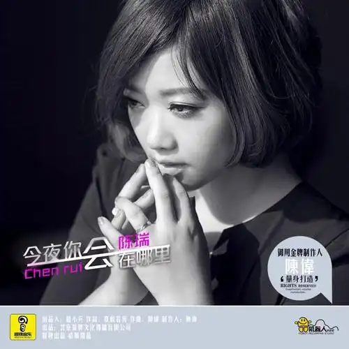 《今夜你会在哪里》陈瑞 - 挚朴大哥 - 挚朴大哥