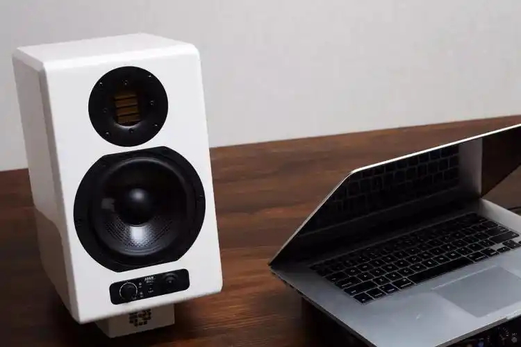 adam artist5 深度把玩记