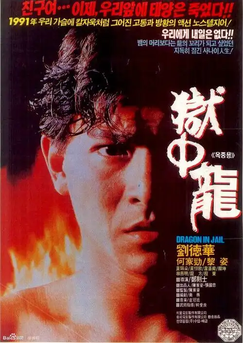 dragon in jail 1990 chinese 1080p bluray h264 aac-vxt