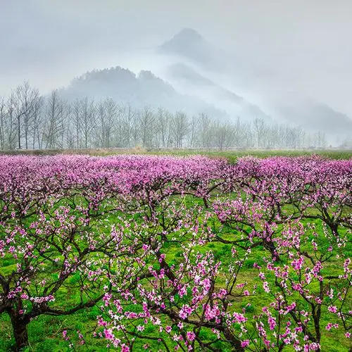 "仙人居住的地方·中国山水画城市"中国仙居全国摄影大展入展作品公示