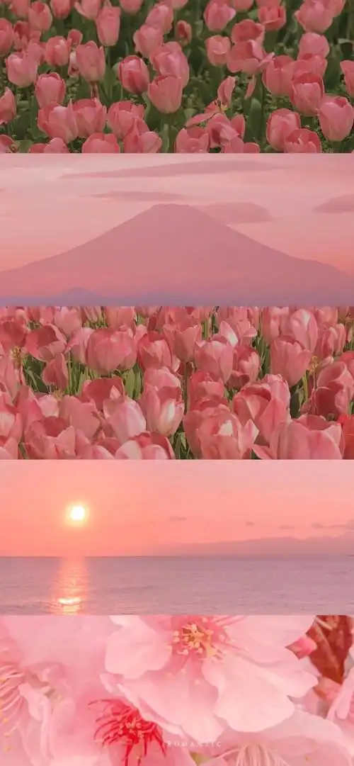 花海- 堆糖,美图壁纸兴趣社区