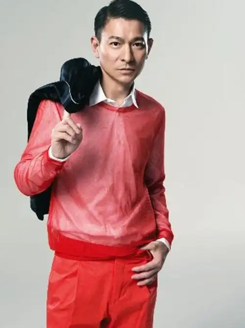 在华语乐坛,刘德华的名字无疑是璀璨的明星,他那独具魅力的嗓音和深情