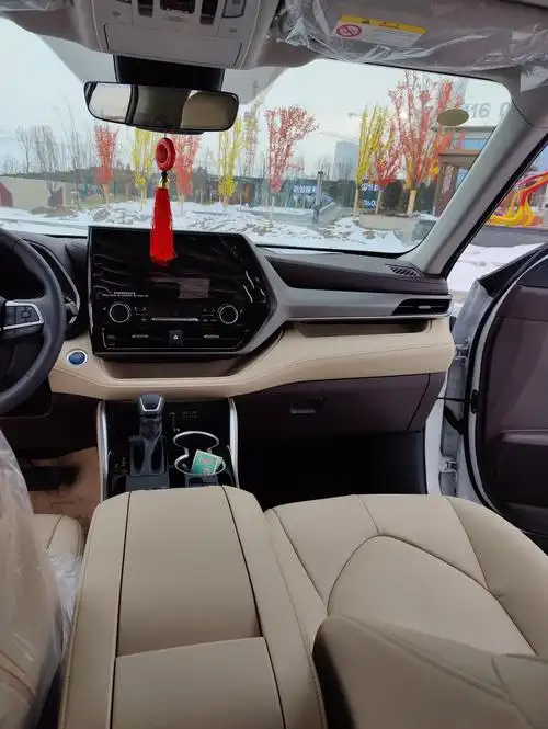 汉兰达米色内饰