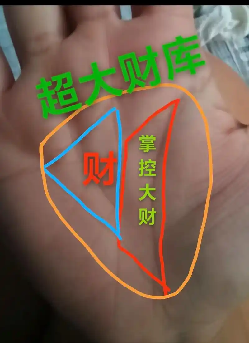 旺夫女人 #暴富 #掌纹 #掌纹的秘密 #手纹  这个朋友 - 抖音