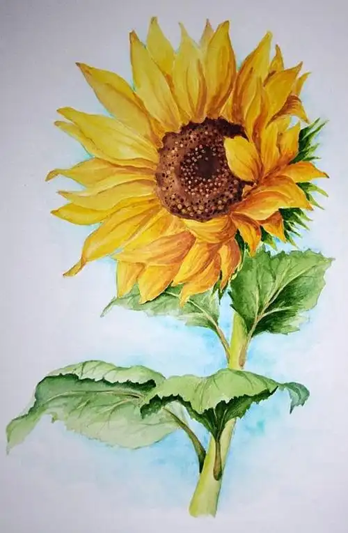 俄罗斯水彩花卉画