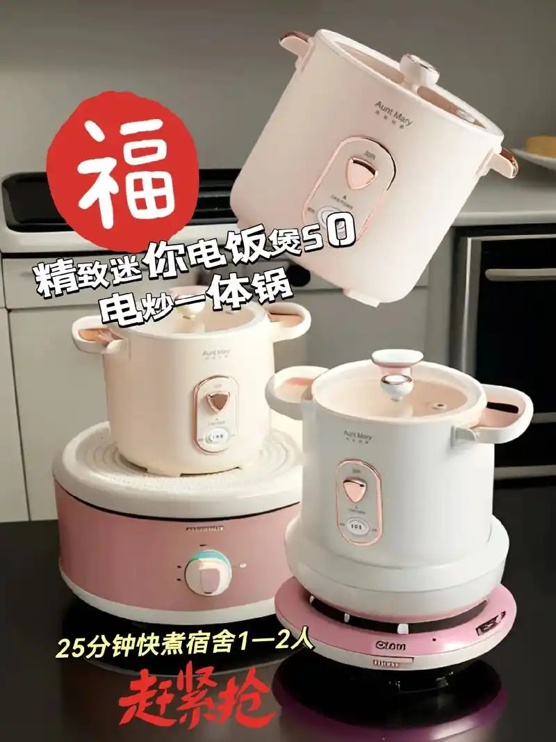 多功能迷你小电饭煲.