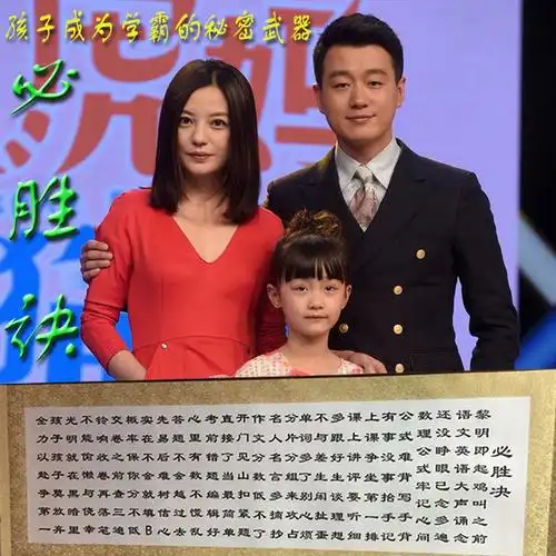 必胜决 虎妈猫爸必胜决赵薇罗茜茜必胜决丝绸书法必胜诀墙画包邮