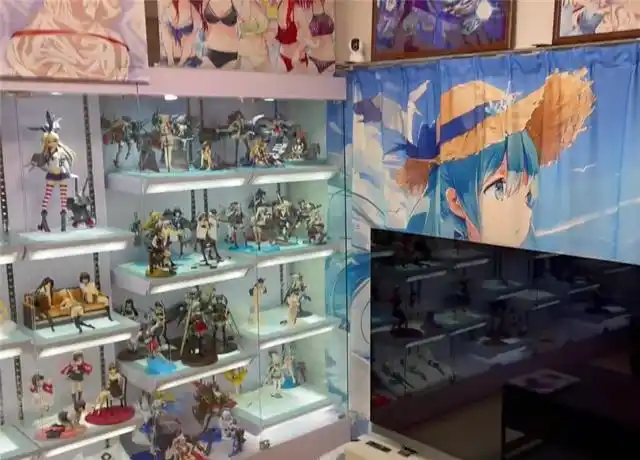 土豪宅男独居日本晒出自己40㎡小家整面墙海报和手办真羡慕