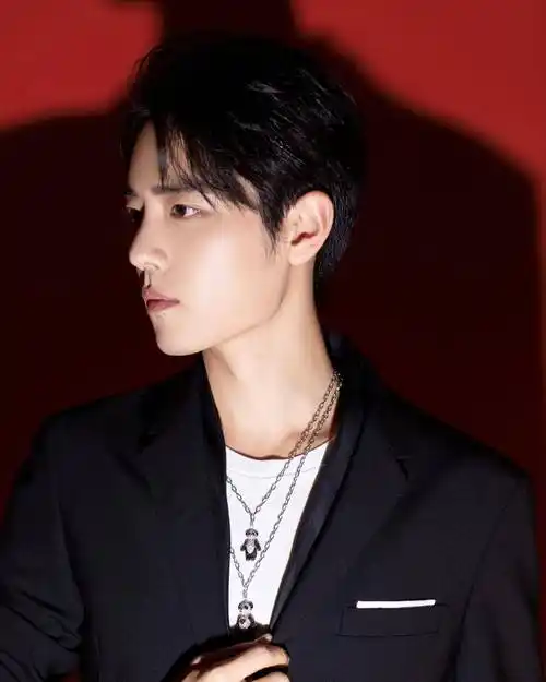 "学长风"肖战来袭,凭借照片就热度爆棚,除了他还有谁