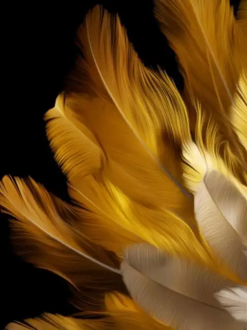 oppo find n3内置原生壁纸