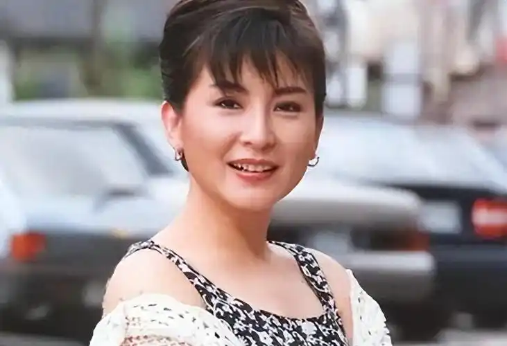 回顾事实证明65岁没结婚孤苦伶仃的陈淑桦已走上另一条大道