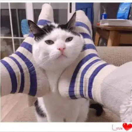 情侣头像搞笑逗比一对我只知道青春无悔