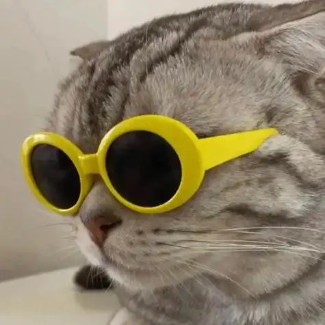 搞怪头像猫咪沙雕拽酷头像第二弹