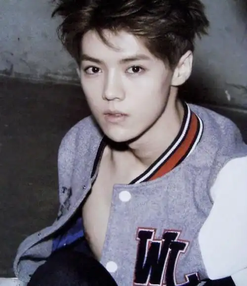 明星 郭敬明《幻城》或搬上荧幕 杨幂鹿晗皆出演上一张 下一张 简介