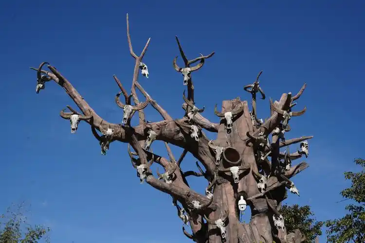 中国最后一个原始部落:云南沧源佤族自治县翁丁村(拍摄于2020年12月24