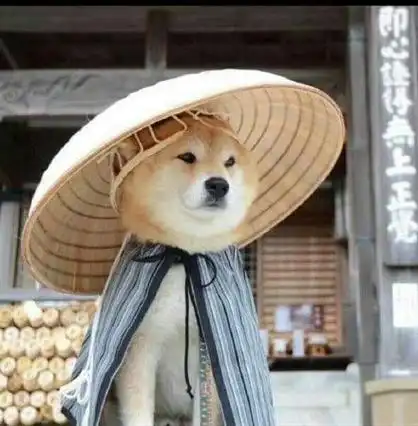 动漫 搞笑搞笑图片 逗比沙雕男二狗子情侣头像搞笑狗子的情侣头像搞笑