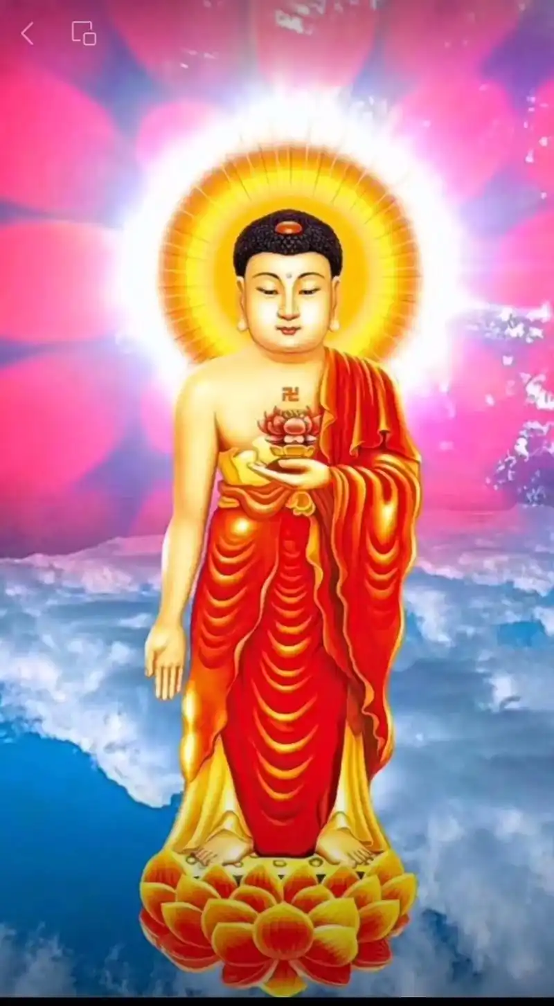 《赞佛偈》阿弥陀佛身金色, 相好光明无等伦. 白毫宛转五须弥 - 抖音