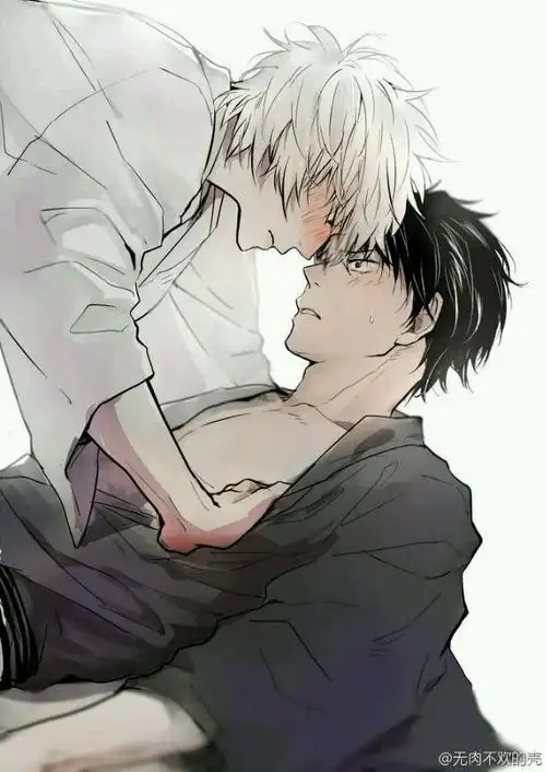 新来的男老师以及男老师身边男宠小白三人之间的纠缠爱情故事的小说