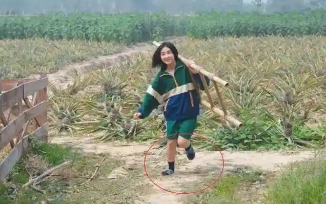 我们可以看到,张子枫虽然穿的也是拖鞋,但是比起黄磊,何炅还有彭昱畅