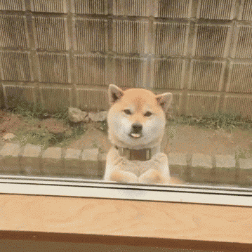 十二星座都是怎么跳舞的?快来看