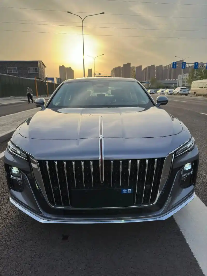 23年上牌的红旗h5 2.0t智联旗畅版.100公 - 抖音