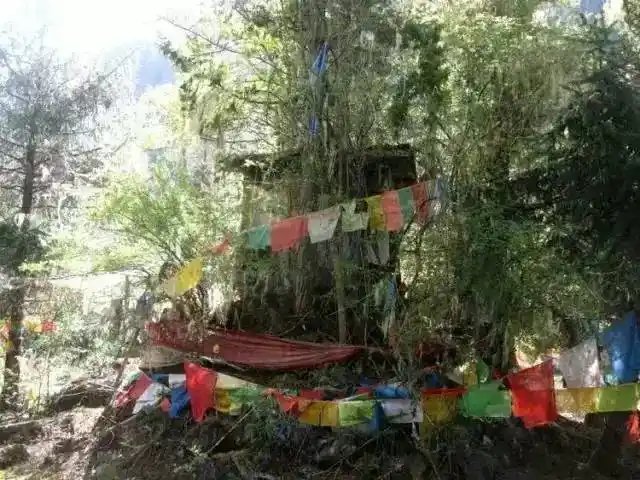 探秘西藏最神秘的树葬习俗地区卓龙沟