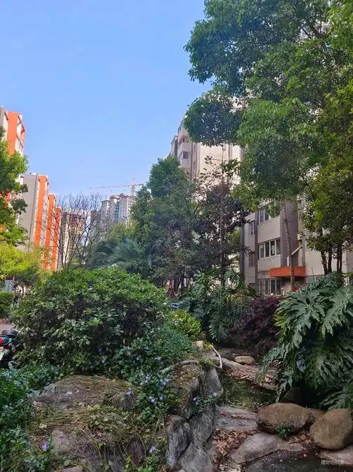 铁合金怡芳苑小区(二期)3室2厅1卫79.12㎡南北98万