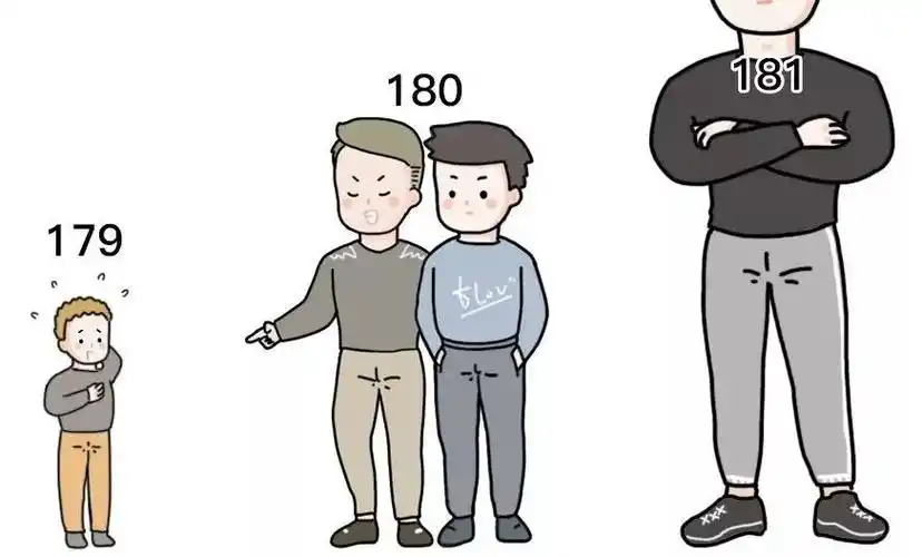 最受欢迎的身高第二名是178cm,其实这个身高刚刚好,既不会太好也不会