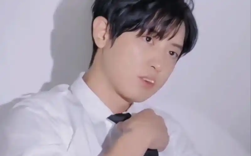 【朴灿烈】白衬衫