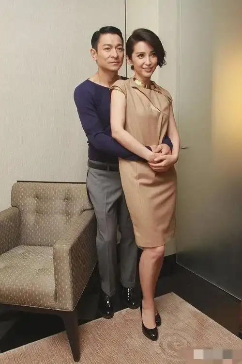 刘德华搂着李冰冰,好般配啊!