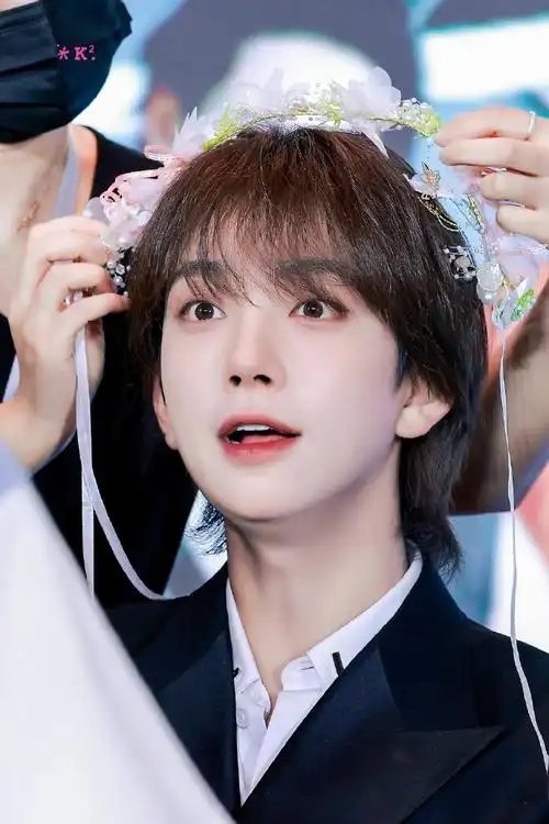 洪知秀雪兔精灵