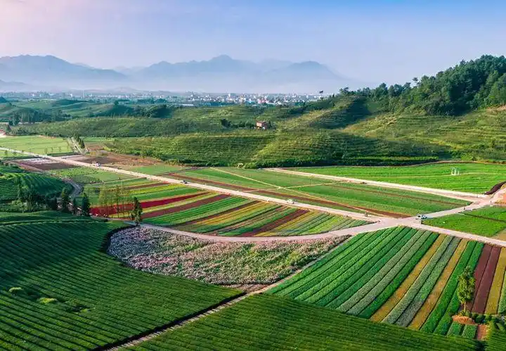 武义花田小镇 等你免费玩!