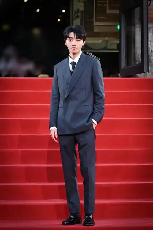 王俊凯红毯全身镜头#王俊凯出席平遥国际影展开幕红毯高清图集6p