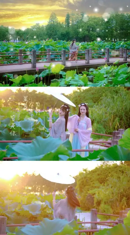 晶晶0904的写真摄影作品《夏日荷花古装》