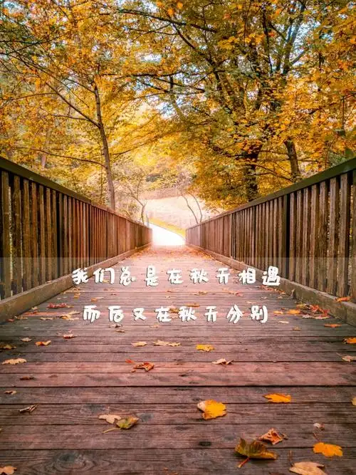 秋季唯美说说图片 秋季 唯美说说 秋天 唯美 文字 说说带 带字 唯美