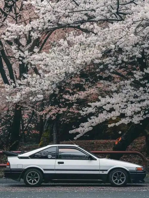 儿时的梦想——toyota ae86 "昨晚我在秋名山输给了一辆 ae86, 他