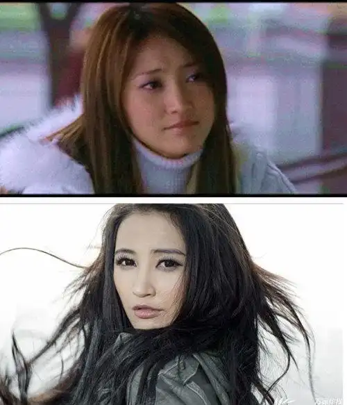 张歆艺疑似整容对比照曝光 附完整个人资料及写真/组图