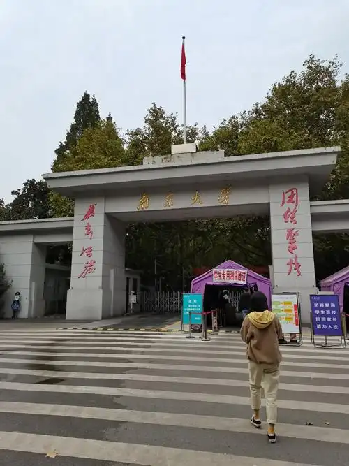 参观南京大学鼓楼校区,游览石头城,清凉山,总统府,1912街.