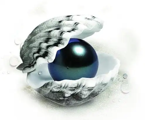 南洋珠黑珍珠价格步步高,顶级珍珠宜戴不宜藏