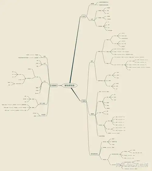 系统解剖学思维导图12感觉器